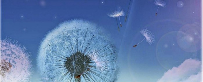 Access-bars-Consciousness-e1432309436873